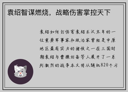 袁绍智谋燃烧，战略伤害掌控天下