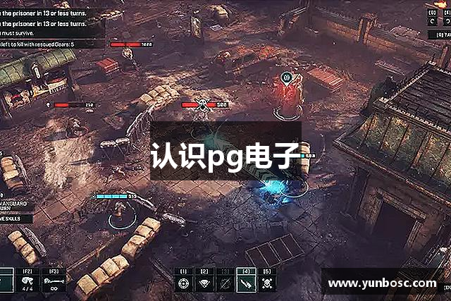 认识pg电子